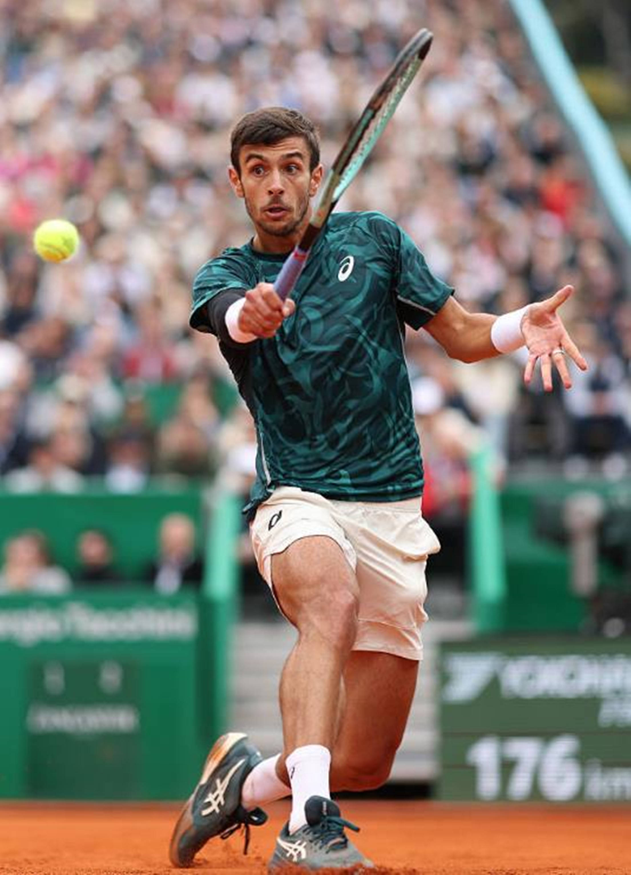 界排名更高 界排名更高